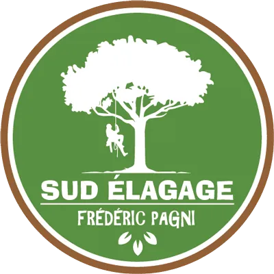 PAGNI FREDERIC logo