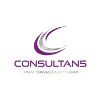 CONSULTANS logo
