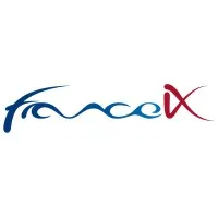 FRANCE IX SERVICES logo