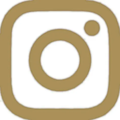 VAN IF logo