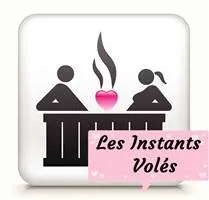 LES INSTANTS VOLES logo