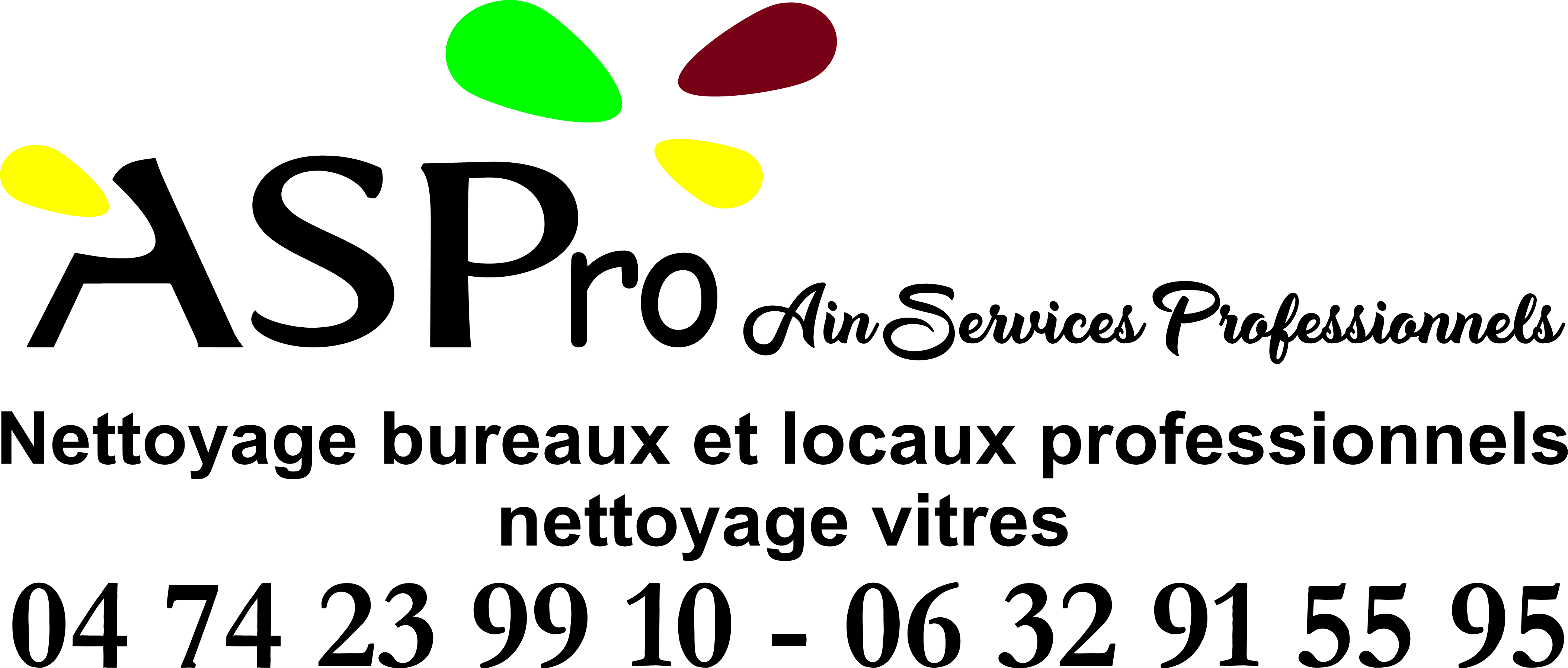 AIN SERVICES PROFESSIONNELS (AS-PRO) logo