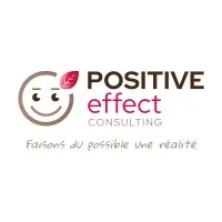 POSITIVE EFFECT CONSULTING logo