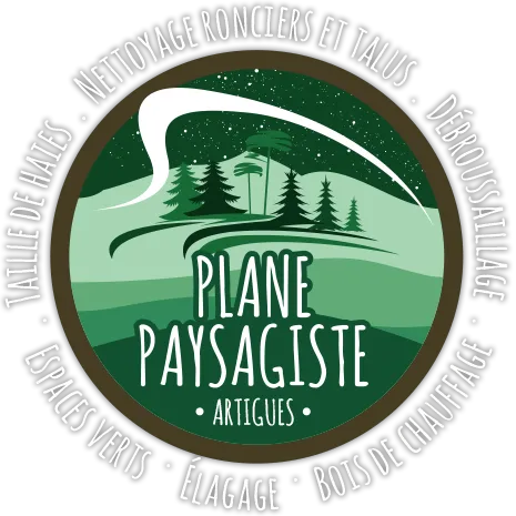 PLANE PATRICK logo
