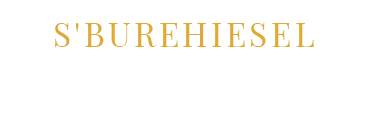 ARON EMMANUELLE logo