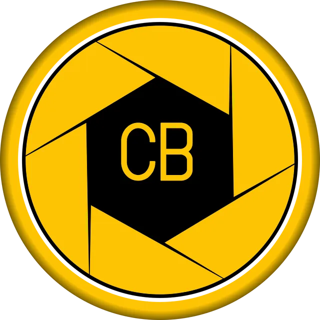 BOUCHAYER CECILE logo