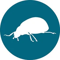 OBBECOM logo