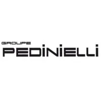 PEDINIELLI AUTOMOBILES (IBERIA MOTORS) logo