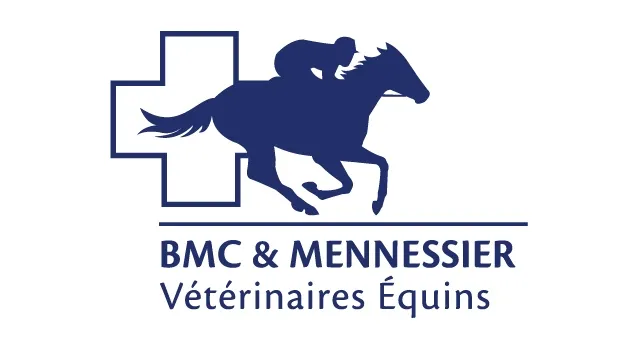 MC VEIGH CLEMENTS & MENNESSIER logo