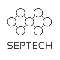 L.S.I.T. logo