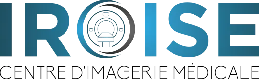 IROISE logo
