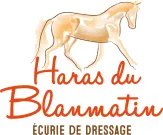 RIGAULT SANDRINE logo