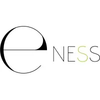 E-NESS logo