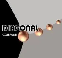 DIAGONAL SARREBOURG logo
