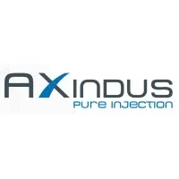 AXINDUS logo