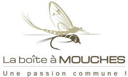 BEAUVOIS STEPHANE logo