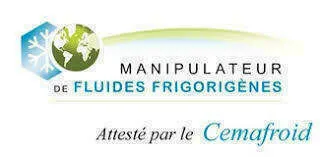 FROID NOUVEL AIR logo
