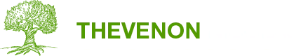 THEVENON NICOLAS logo