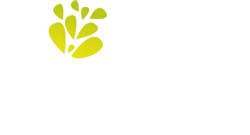 AKENE CONSEIL logo