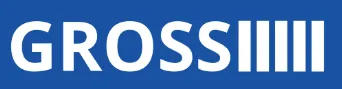 GROSS ARMOIRES DE CONNEXION logo
