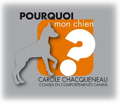 SARL STEPHANE PERON logo