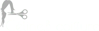 BOURGOIN CELINE logo