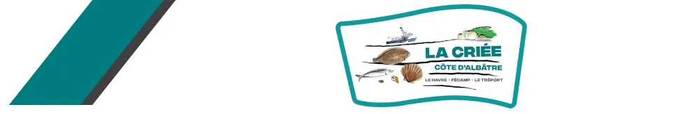 CRIEE DE FECAMP - COTE D'ALBATRE logo