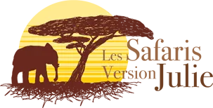 DESMOULIN JULIE logo