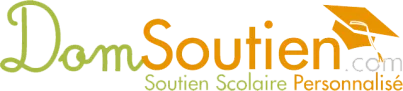 SCHIFFNER DOMINIQUE logo