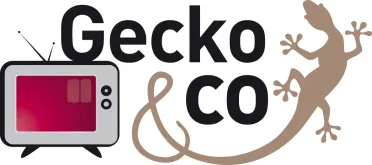 GECKO AND CO logo