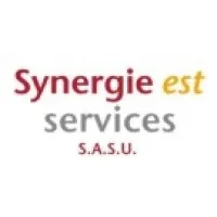 SYNERGIE EST SERVICES logo