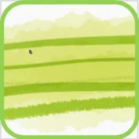 BAMBOONEEM.RE logo