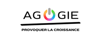 F.D.S.E. logo