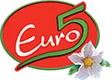 EURO 5 logo