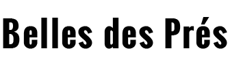 BLAZY JOHANN logo