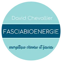 CHEVALLIER DAVID logo