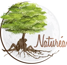 NATUREA SPA BEAUTE logo