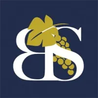 BLUE SIDE logo