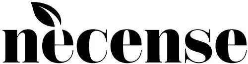 CHEF DAMIEN logo