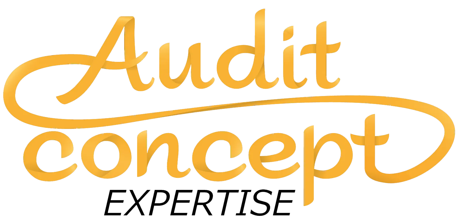 AUDIT CONCEPT logo