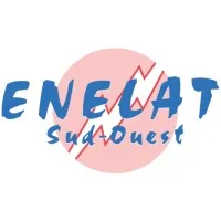 Voici le logo de la marque ENELAT SUD-OUEST qui représente son identité graphique.