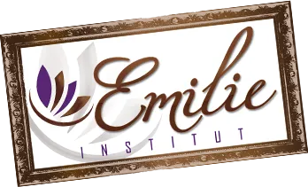 POINT EMILIE logo