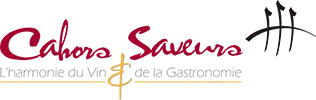 PIERON SAVEURS logo