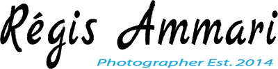AMMARI REGIS logo