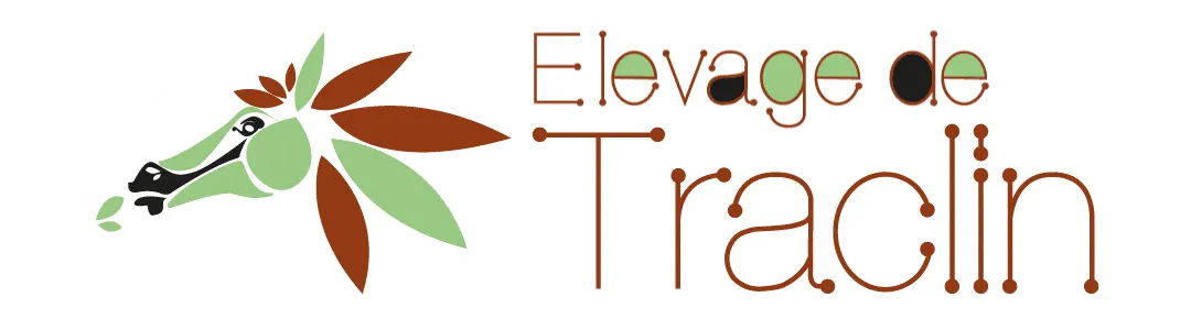 EARL DE TRACLIN SIGOULES logo