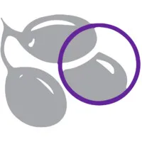 LES OLIVADES logo