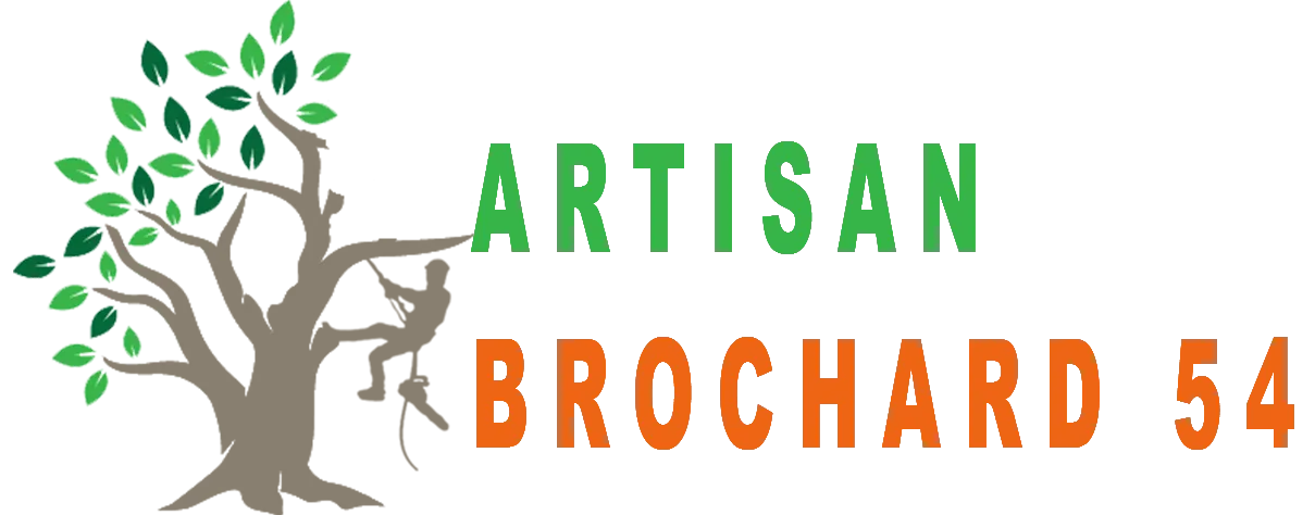 BROCHARD TEDDY logo