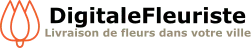 DIT MERVEILLE logo