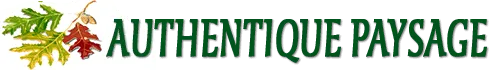 DE DIOS FREDERIC logo