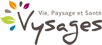 VYSAGES logo